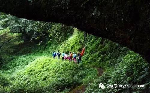 栅栏迷宫